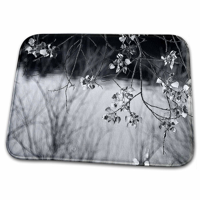 Dish Drying Mat - Black and White Close Up of Leaves Framing Water and Weeds Behind at Baker Dam Reservoir in Utah Realistic