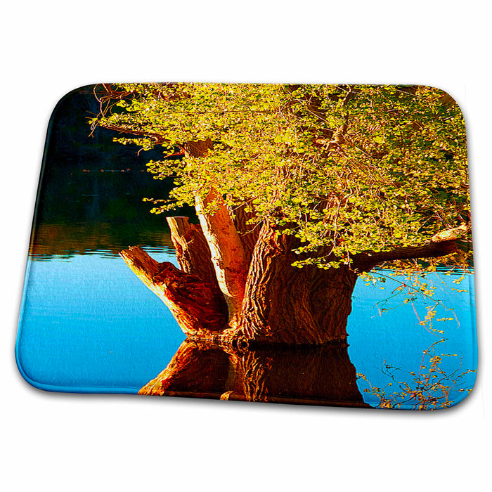 Dish Drying Mat - Huge Old Stump of Tree With Yellow Leaves Reflecting into Beautiful Brilliant Blue Water Realistic