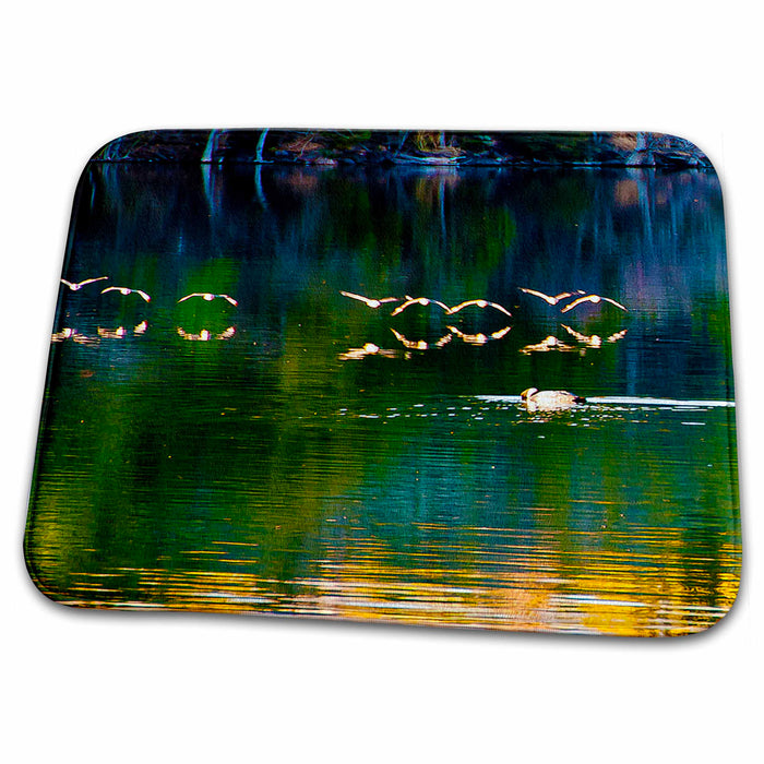 Dish Drying Mat - Birds Flying Over Water at Baker Dam in Utah with Their Reflection on Orange, Green and Blue Water Realistic