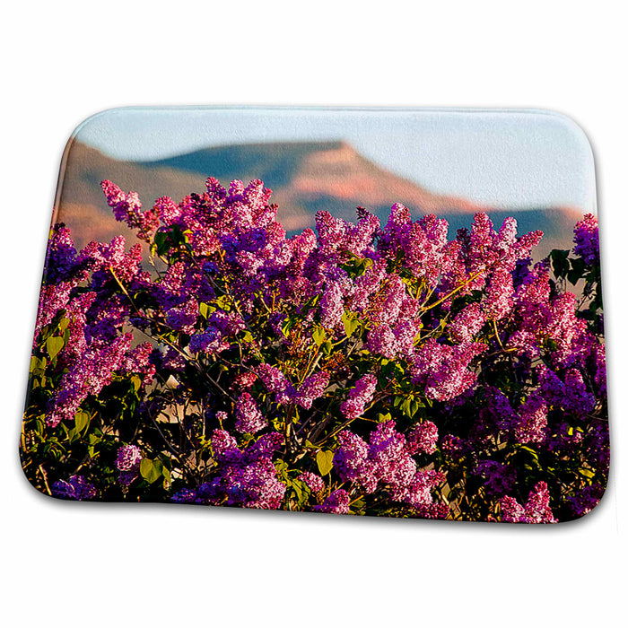 Dish Drying Mat - Purple-Pinkish Lilacs in Central, Utah Taken Close Up With Majestic Mountains in Background Realistic