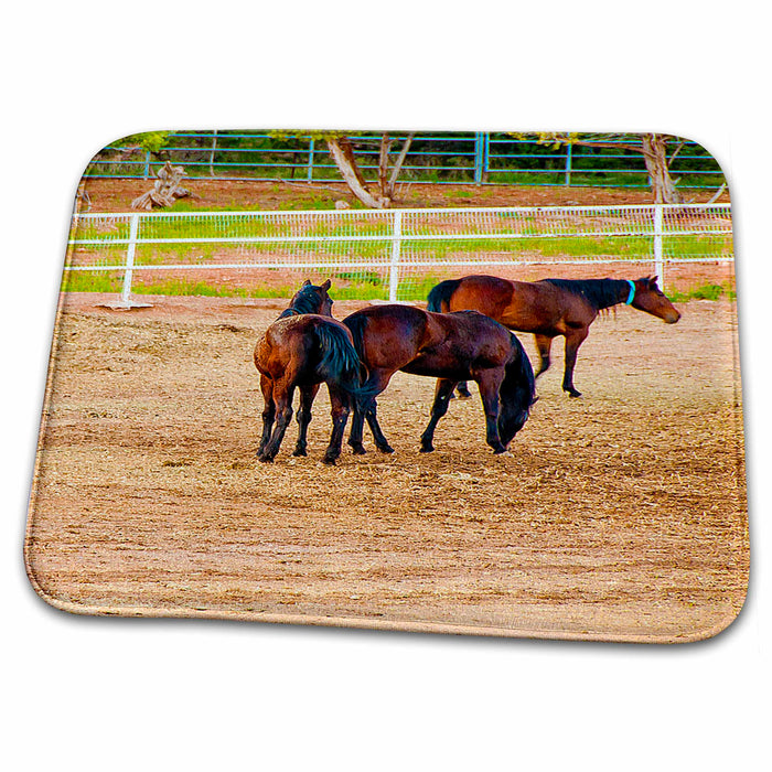 Dish Drying Mat - Three Brown Horses in Central, Utah Interacting With Beautiful Manes of Black on Dirt Ground Realistic