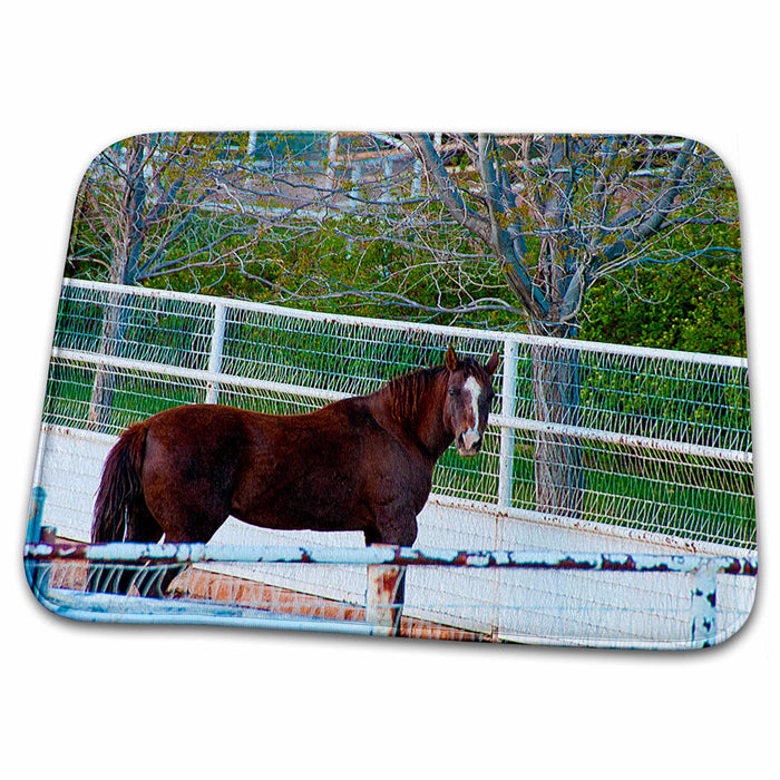 Dish Drying Mat - Beautiful Brown Horse With White Stripe on Its Face Inside Fenced in Yard in Central, Utah Realistic