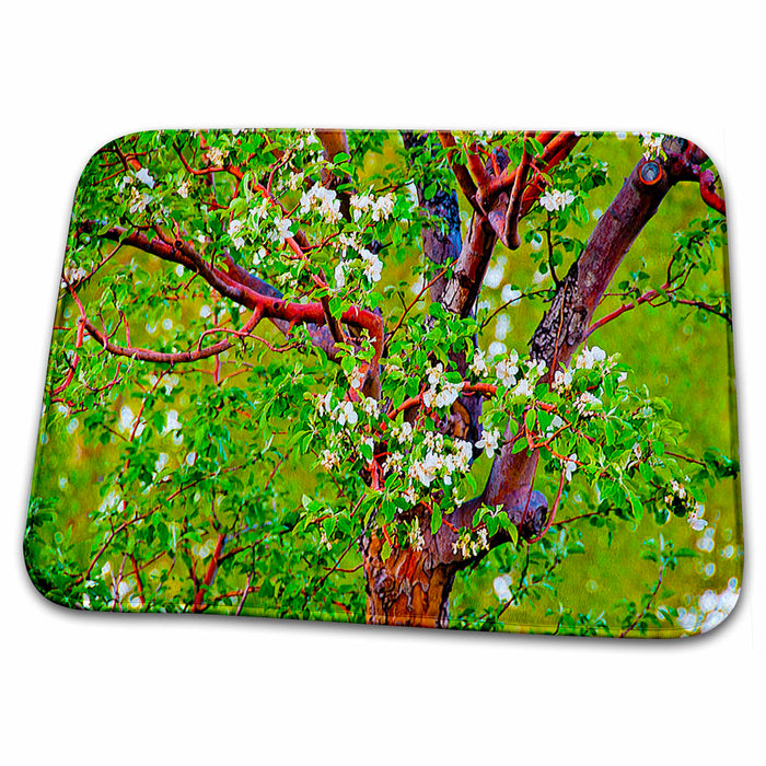 Dish Drying Mat - Close up of What Looks Like Popcorn Popping on Apricot Tree with Hue Vibrant Green,Red and Yellow Realistic