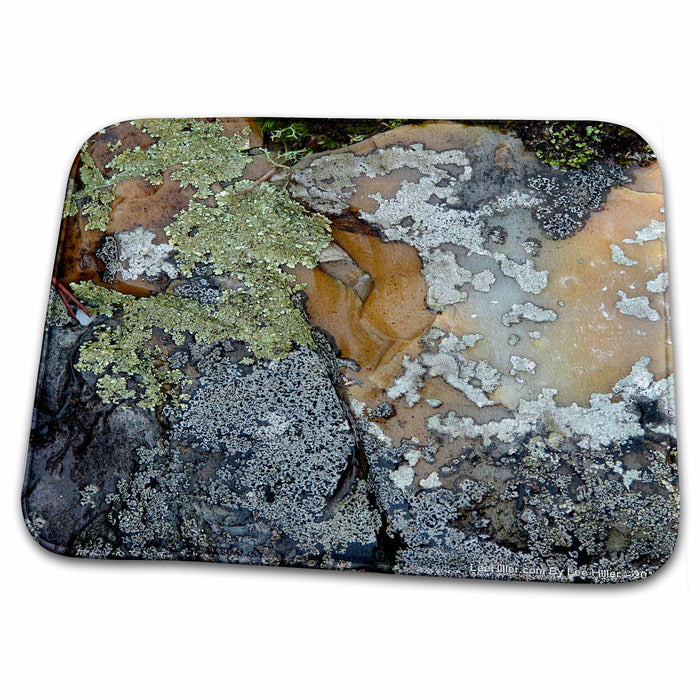 Dish Drying Mat - Amber and Silver Lichen Rock Photography Hot Springs National Park Rocks