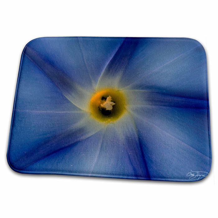 Dish Drying Mat - Purple Morning Glory Flower Flowers