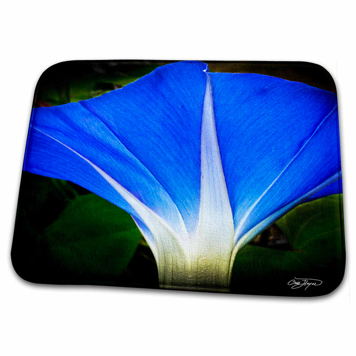 Dish Drying Mat - Blue Morning Glory in the Morning Sun Flowers