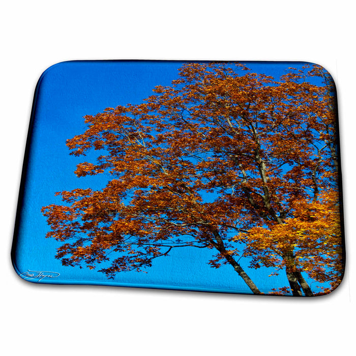 Dish Drying Mat - Fall Trees against Deep Blue Winter Sky Fall