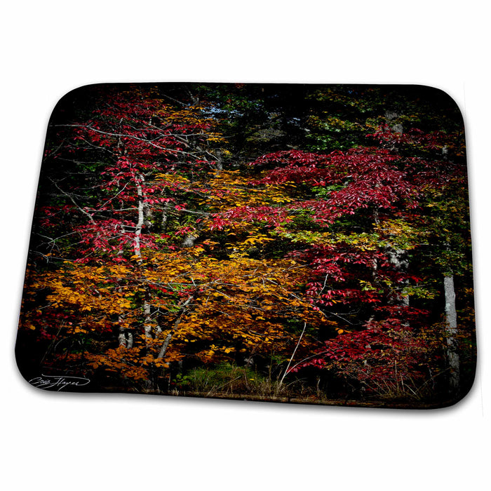 Dish Drying Mat - Fall Colors Pop - Tress Showing Their Best Colors Fall Fall Leaves