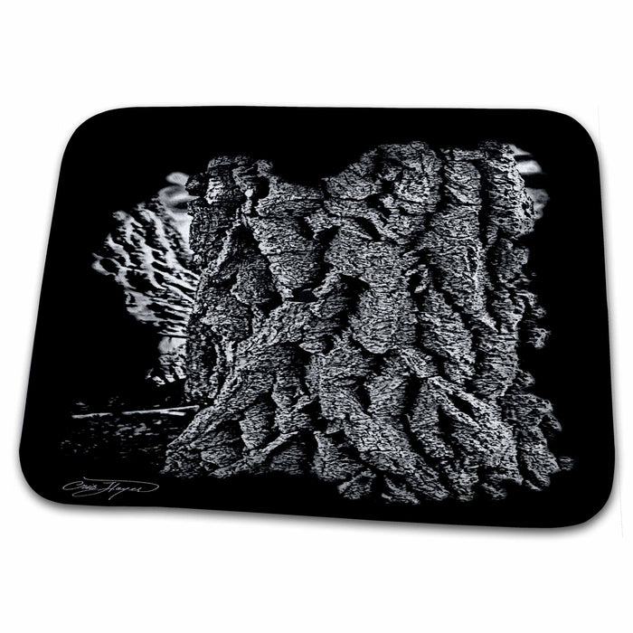 Dish Drying Mat - Thick Tree Bark Art Trees