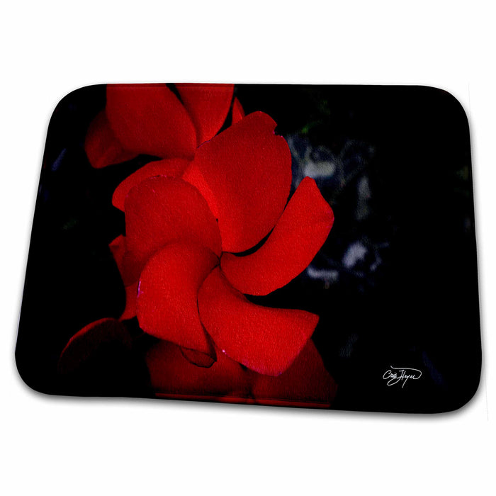 Dish Drying Mat - Red Passion Flowers Swirls and Patterns Flowers