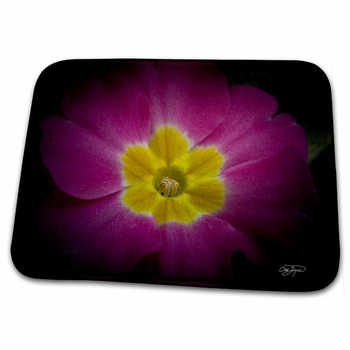 Dish Drying Mat - Purple Passion Flower with Warm Yellow Center Flowers