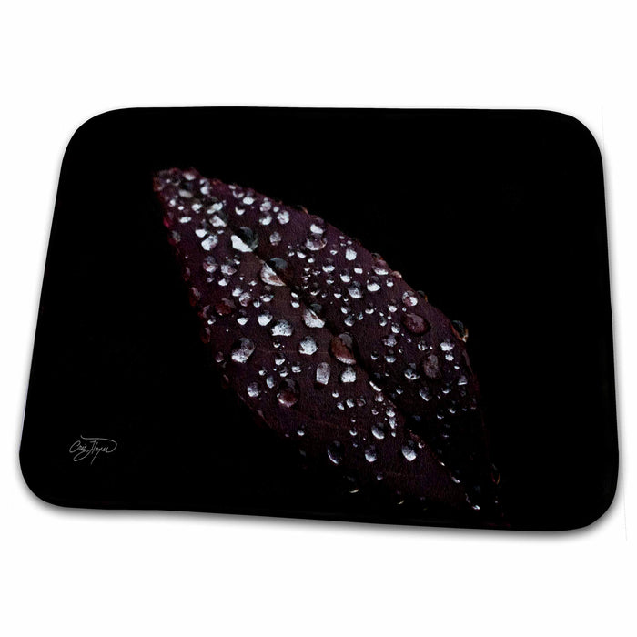 Dish Drying Mat - Natures Tears - Rain Drops on the Morning Leaves Nature