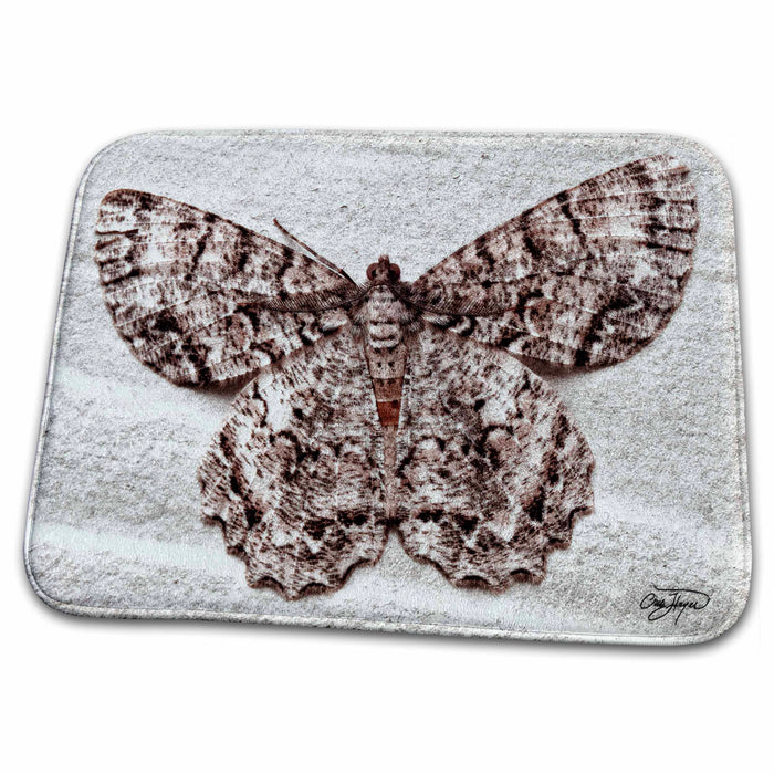 Dish Drying Mat - Flight of the Moth in Georgia Nature