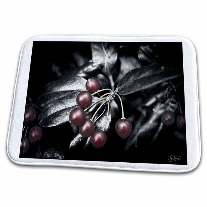 Dish Drying Mat - Black and White Chrome Holly Leaves with hand colored berries - WOW Nature