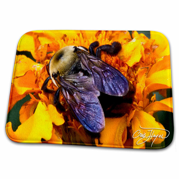 Dish Drying Mat - Bumble Bee Visits the Orange Flower Flowers