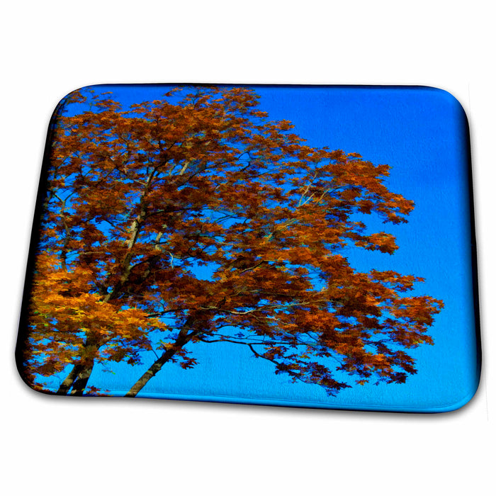 Dish Drying Mat - Blue Sky Behind Fall Leaves Trees