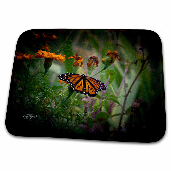 Dish Drying Mat - Butterfly on Wild Flowers I Nature