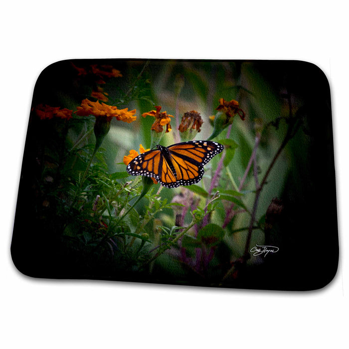 Dish Drying Mat - Butterfly on Wild Flowers II Nature