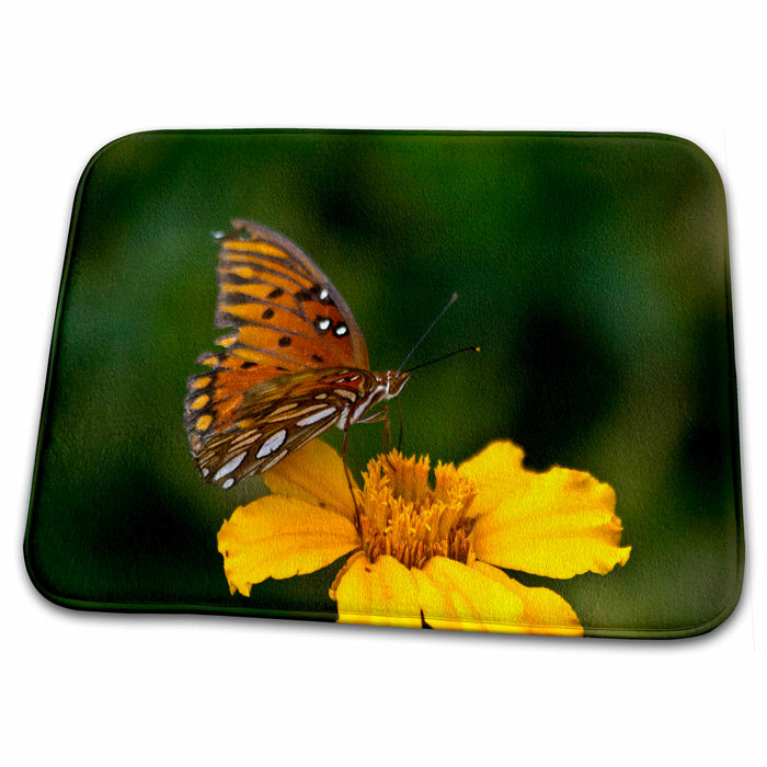 Dish Drying Mat - Butterfly Kissing the Mornign Flowers I Nature