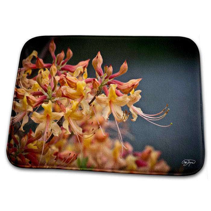 Dish Drying Mat - Passion for the Yellow Flower in Early Morning IIII Flowers