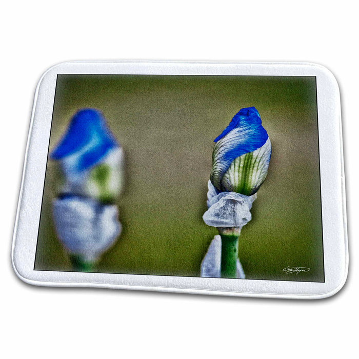 Dish Drying Mat - Birth of the Iris Flower Flowers