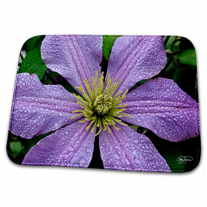 Dish Drying Mat - Purple Passion Dancing in the Rain I Flowers Set