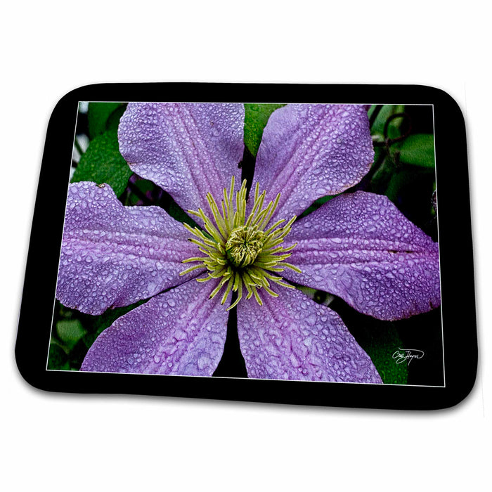 Dish Drying Mat - Purple Passion Dancing in the Rain II Flowers