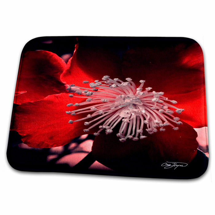 Dish Drying Mat - Passion of the Red Lady with White Fingernails Flower Flowers