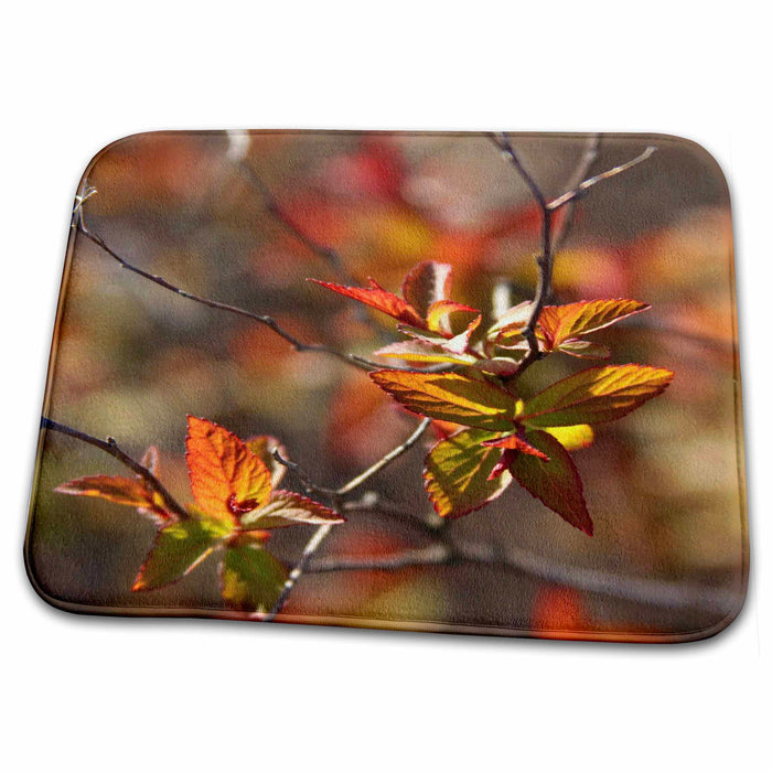 Dish Drying Mat - Golden Autumn - Fall Leaves - Photography Sanders Photography