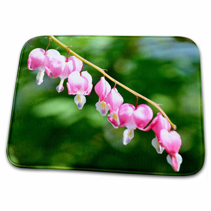 Dish Drying Mat - Vine of Bleeding Hearts - Pink Flowers -Spring Photography Sanders Flowers