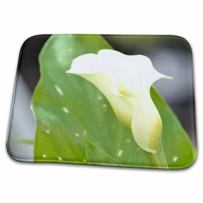 Dish Drying Mat - White Calla Lily - Spring Flowers - Photography Sanders Flowers