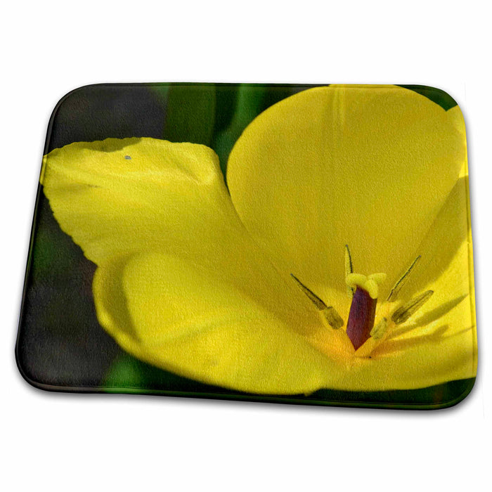 Dish Drying Mat - Yellow Tulip Macro - Spring Flowers - Photography Sanders Flowers