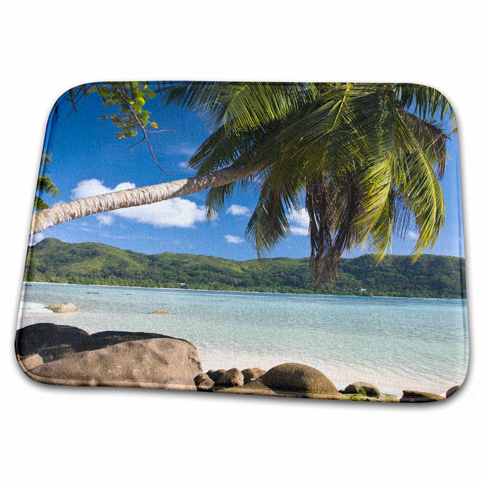 Dish Drying Mat - Seychelles, Mahe Island, Anse a la Mouche-AF39 WBI0116 - Walter Bibikow Seychelles