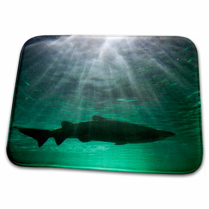 Dish Drying Mat - Australia, NSW, Sydney, Gray Nurse Shark tank -AU01 PSO0016 - Paul Souders Sharks