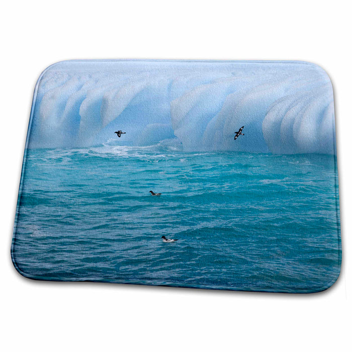 Dish Drying Mat - South Georgia Island, Cape petrels and iceberg-AN01 BJA0100 - Janyes Gallery South Georgia Island