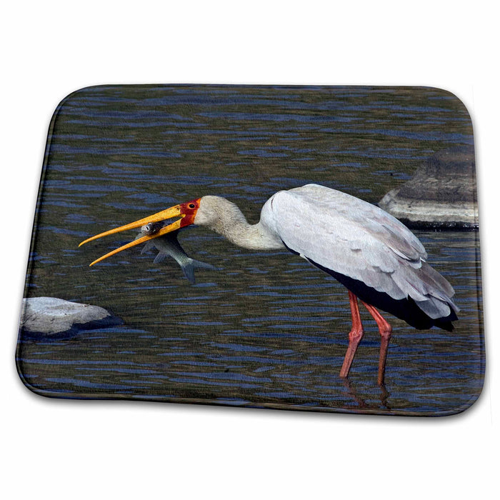 Dish Drying Mat - Kenya, Masai Mara. Yellow-billed stork, fish prey-AF21 BJA0196 - Janyes Gallery Wildlife