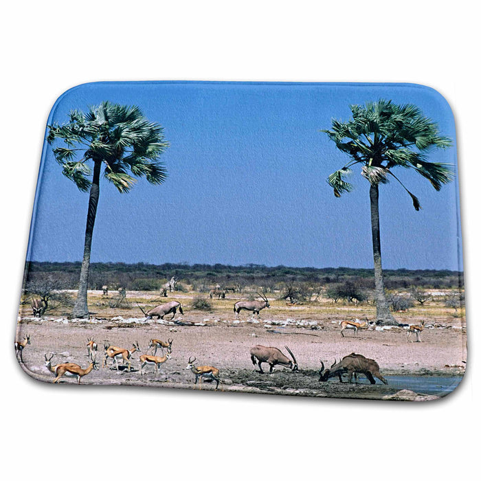 Dish Drying Mat - Africa, Namibia, Etosha NP, Waterhole, Wildlife-AF31 CSL0007 - Charles Sleicher Wildlife