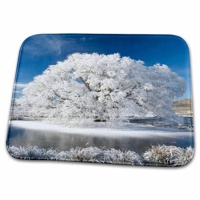 Dish Drying Mat - Hoar Frost on Willow, Otago, South Island, New Zealand-AU02 DWA3501 - David Wall Winter