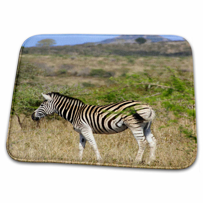 Dish Drying Mat - South Africa, Zulu Nyala Game Reserve, Zebra-AF42 LEN0204 - Lisa S. Engelbrecht Zebras