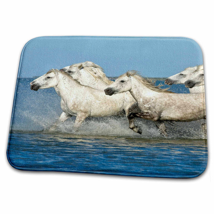 Dish Drying Mat - France, Camargue. Horses run through estuary waters - EU09 BTH0038 - Brenda Tharp Horses