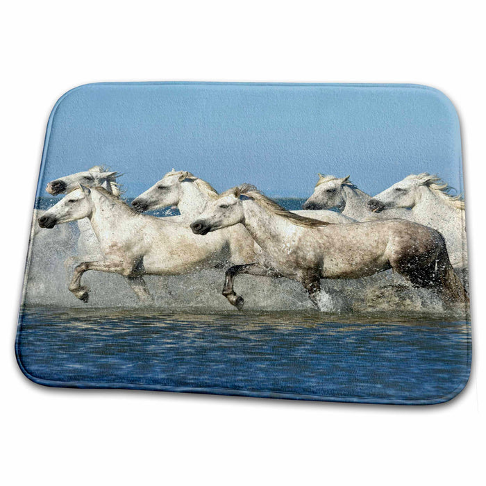 Dish Drying Mat - France, Camargue. Horses run through estuary waters - EU09 BTH0039 - Brenda Tharp Horses