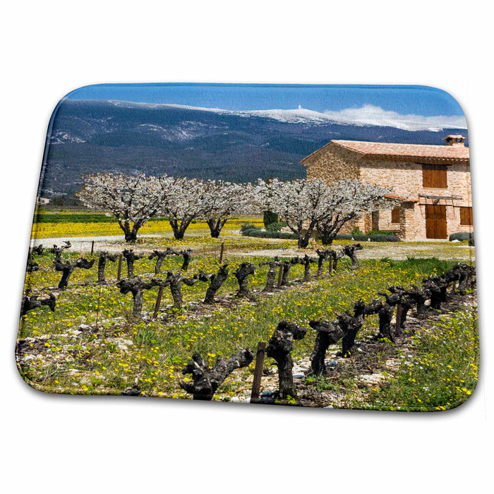 Dish Drying Mat - Vineyard, stone house, Mt Ventoux, Provence, France - EU09 DBN0622 - David Barnes Provence