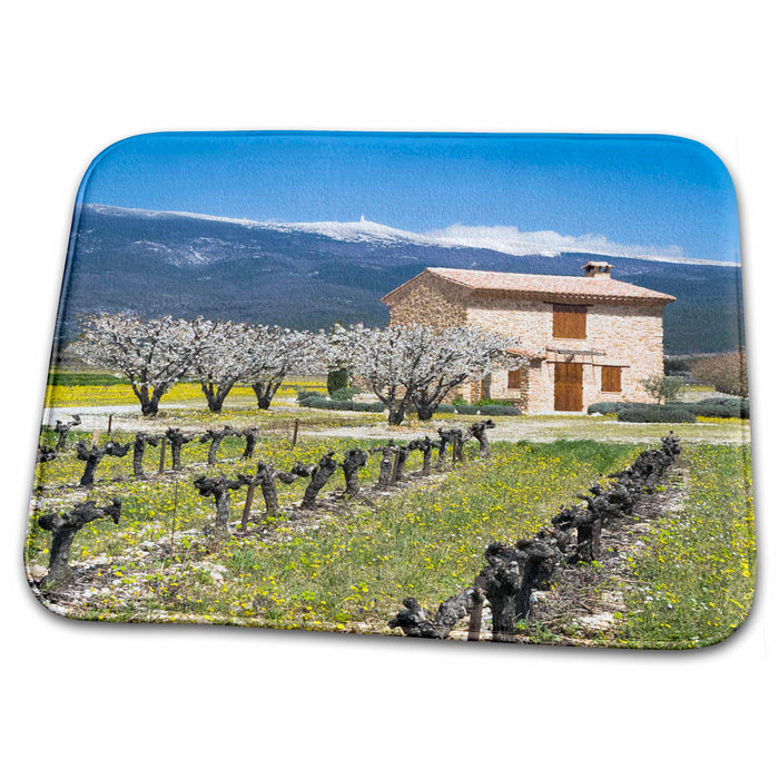 Dish Drying Mat - Vineyard, stone house, Mt Ventoux, Provence, France - EU09 DBN0623 - David Barnes Provence