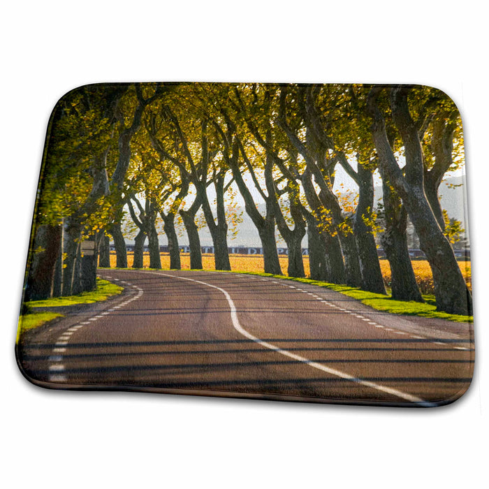 Dish Drying Mat - Tree lined road, paths, Cote dOr, Burgundy, France - EU09 DBN0773 - David Barnes Paths