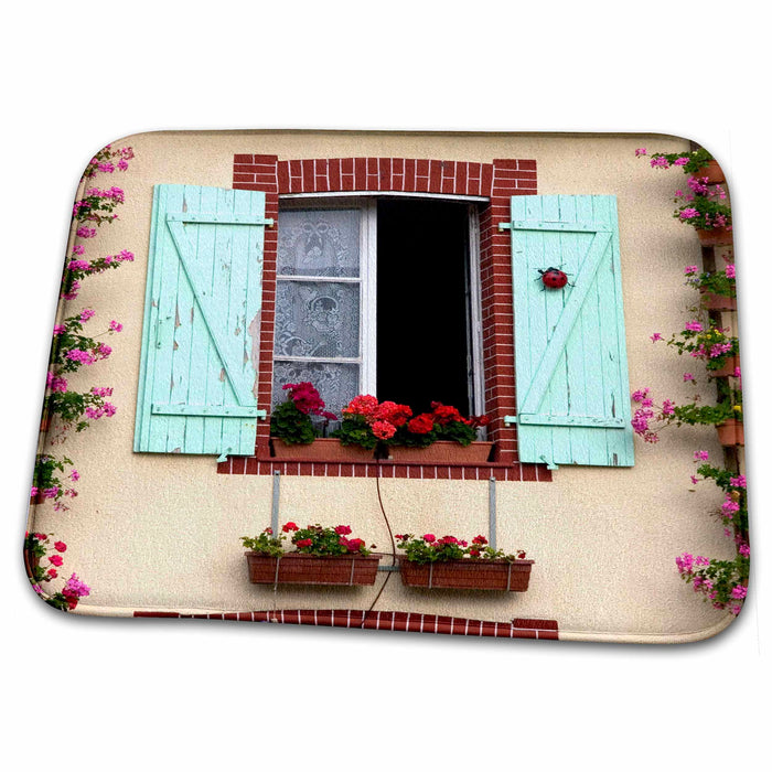 Dish Drying Mat - House geraniums, Manche, France - EU09 DFR0488 - David R. Frazier France