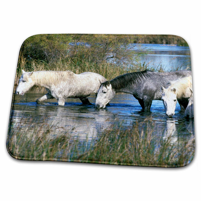 Dish Drying Mat - France, Ile del la Camargue. Camargue Horses - EU09 GJE0032 - Gavriel Jecan Horses