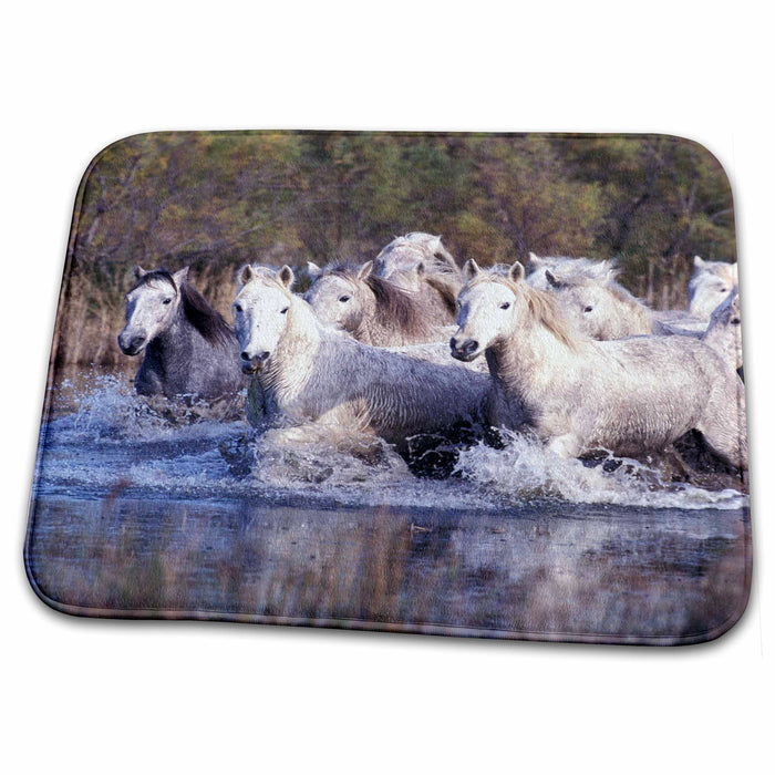 Dish Drying Mat - France, Ile del la Camargue. Camargue Horses - EU09 GJE0035 - Gavriel Jecan Horses