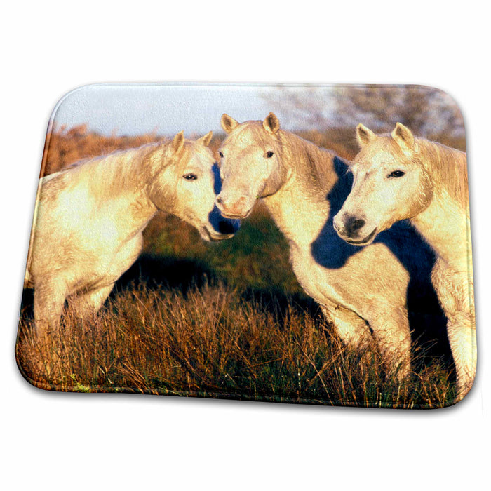 Dish Drying Mat - France, Ile del la Camargue. Camargue Horses - EU09 GJE0044 - Gavriel Jecan Horses