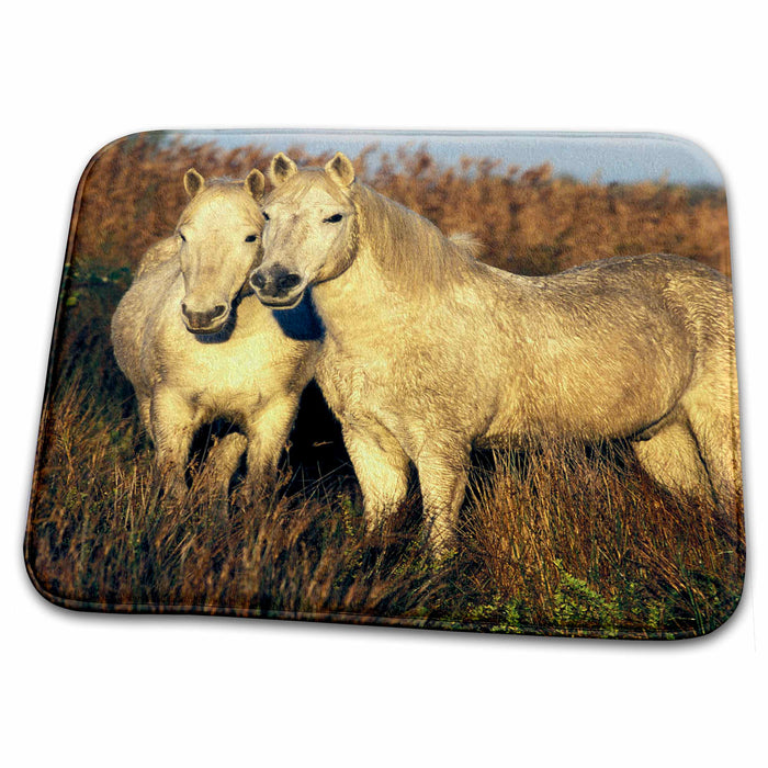 Dish Drying Mat - France, Ile del la Camargue. Camargue Horses - EU09 GJE0052 - Gavriel Jecan Horses