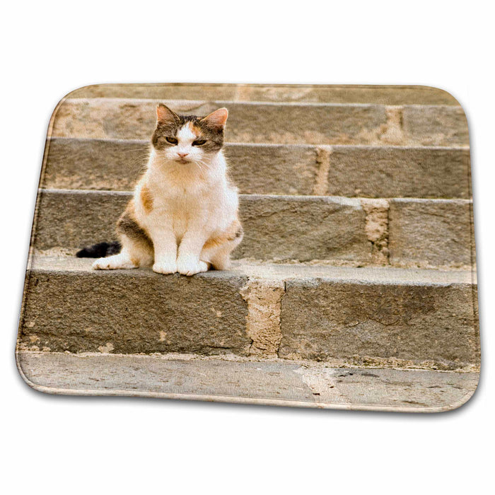 Dish Drying Mat - Cat on steps, Villefranche, South of France - EU09 MWT0027 - Michele Westmorland Cats